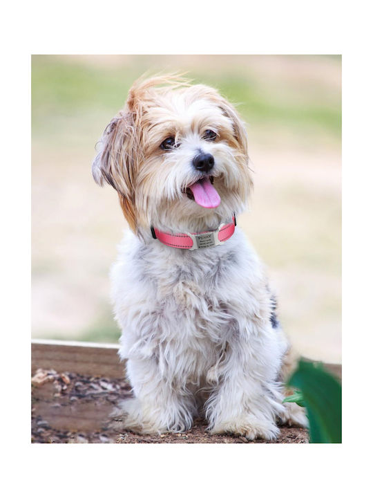 Tagme Adjustable Reflective Nylon Collar Small Dogs Pink