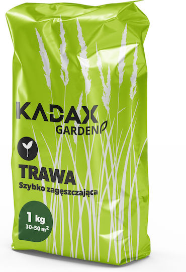 Kadax Universalschnellwachsende Rasensamen 1kg 40m²