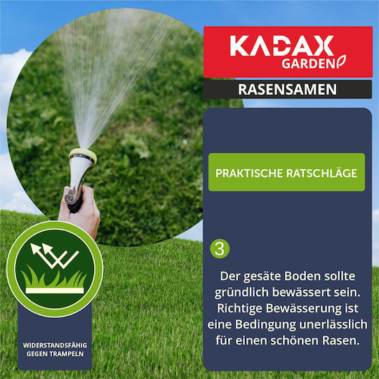 Kadax Sport-Rasen Selbstverdichtender Rasen 1 kg 40m²