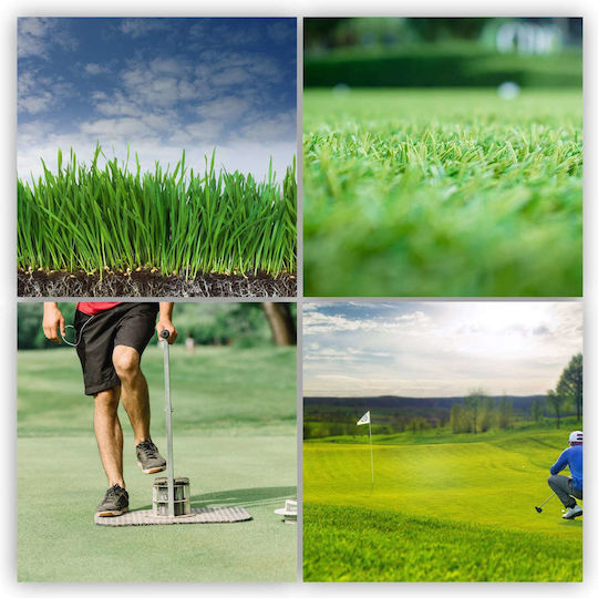 Kadax Decorative Grass Self-compacting Lawn 10 Kg
