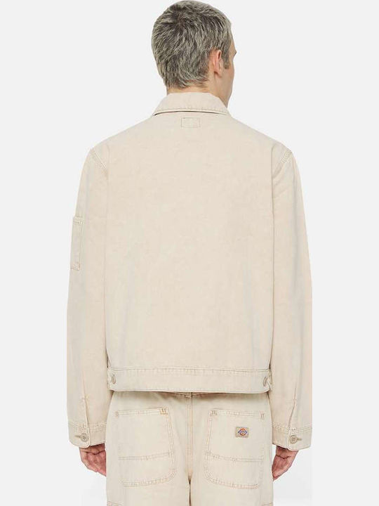 Dickies Dickies