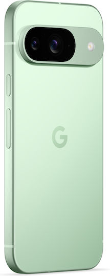 Google Pixel 9 5G (12GB/256GB) Wintergreen