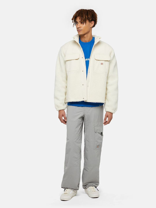 Dickies Dickies