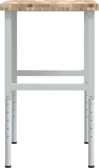 vidaXL Πάγκος Εργασίας 100x60x73cm 3309713