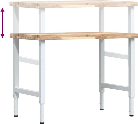 vidaXL Πάγκος Εργασίας 100x60x73cm 3309713