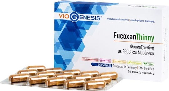 Viogenesis FucoxanThinny Supliment Special Alimentar 30 capsule veget