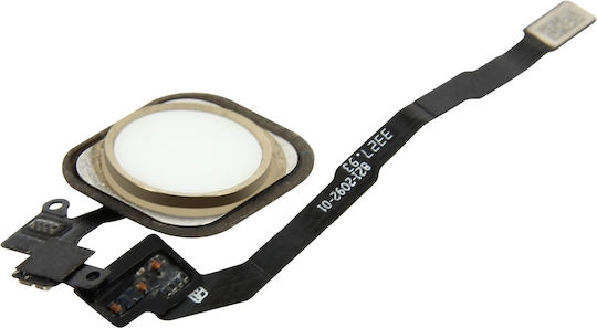 White Home Button + Flex Cable Replacement Part Apple Iphone 5s