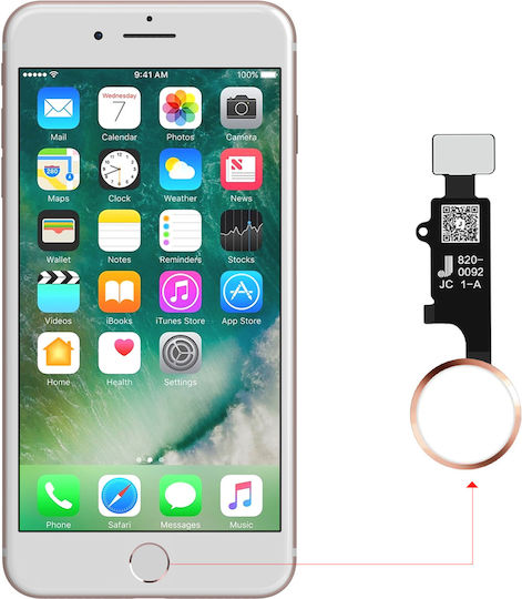 Clappio Home Button for iPhone SE 2020 8 7 Main Connection Cable Pink