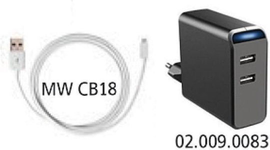 Minwa MW-I316 USB Φορτιστής 2 Μπαταριών Ni-MH/Li-ion/Ni-Cd Μεγέθους AA/AAA σε Λευκό χρώμα