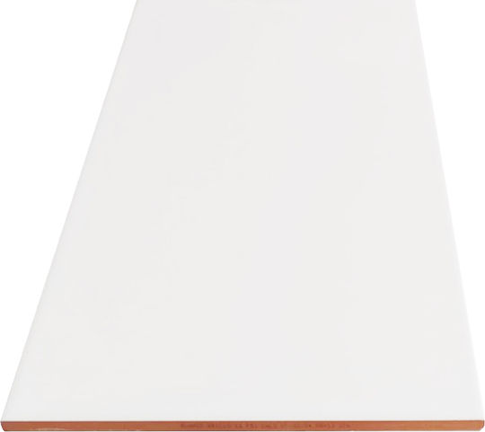 Stn Ceramica Placă Perete Interior Ceramic Mat 50x25cm Blanco Brillo