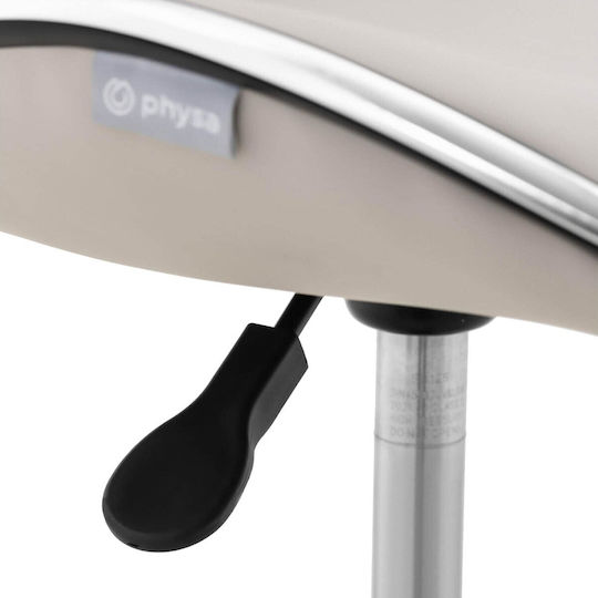 Physa Scaun