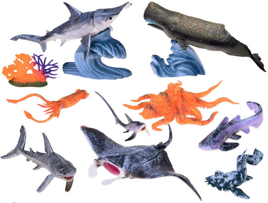 Jokomisiada Sea Animals Für Mehrfach Alter