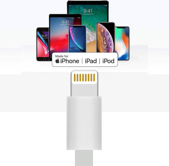 Lightning-auf-30-Pin-Ladekabel-Adapter Weiß