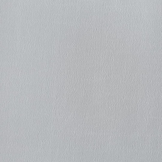 Eurofirany Vorhang mit Bleistiftfalten Dalia Weiß 350x270cm