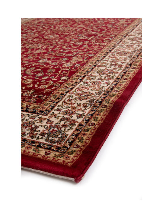 Royal Carpet Teppich Rechteckig Red