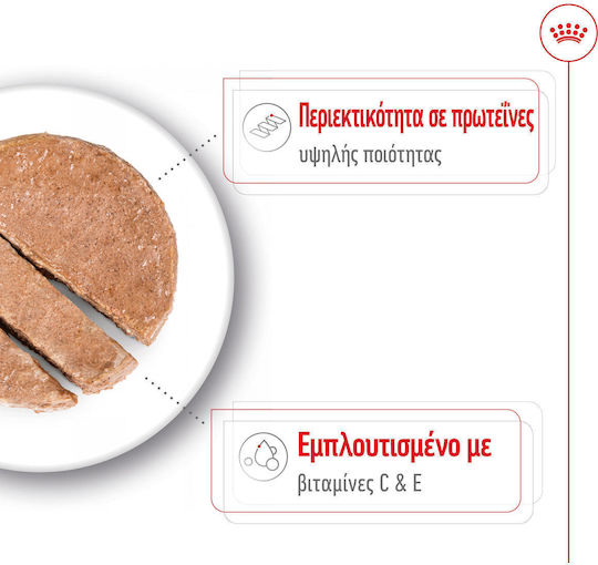 Υγρή Τροφή Royal Canin Medium Adult Loaf Πατέ Ενήλικες Σκύλους Μεσαίου Μεγέθους Φυλών 410gr