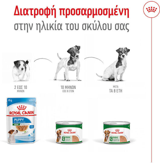 Υγρή Τροφή Royal Canin Mini Ageing 8+ Loaf Πατέ Ώριμους Σκύλους Μικρόσωμων Φυλών Άνω 8 Ετών Μέχρι 10kg 195gr