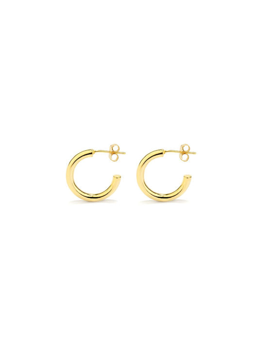 Radiant Earrings Gold Plated