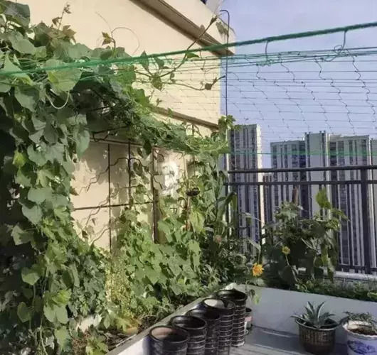 Δίχτυ Αναρριχώμενων Φυτών 200cm από Μέταλλο