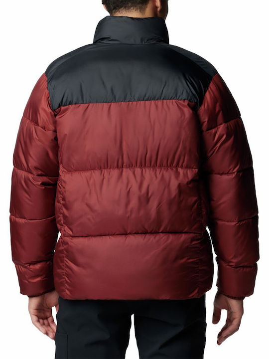 Winter Jacket Puffer Burgundy