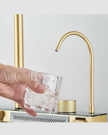 Naron Nr5521bg Drop-In Kitchen Sink Inox Brushed with Faucet L75xW46cm Gold