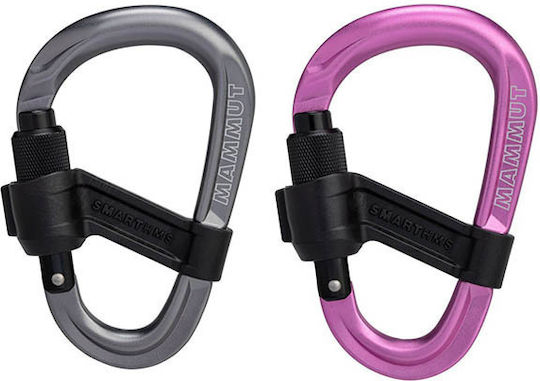 Mammut Smart HMS 2.0 Schraubkarabiner Grau Sicherheitskarabiner
