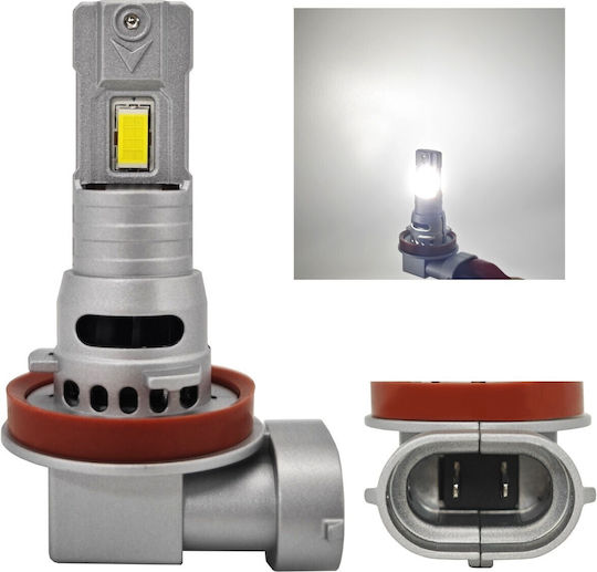 Lamps Car H8 Canbus LED 5000K Cold White 12V / 10V / 16V 2pcs