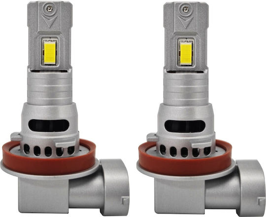 Lamps Car H8 Canbus LED 5000K Cold White 12V / 10V / 16V 2pcs