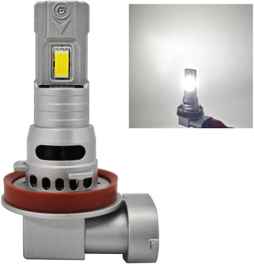Λάμπες Αυτοκινήτου H11 / H16 Canbus LED 5000K Ψυχρό Λευκό 12V / 10V / 16V 2τμχ