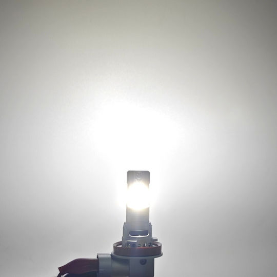 Λάμπες Αυτοκινήτου H11 / H16 Canbus LED 5000K Ψυχρό Λευκό 12V / 10V / 16V 2τμχ
