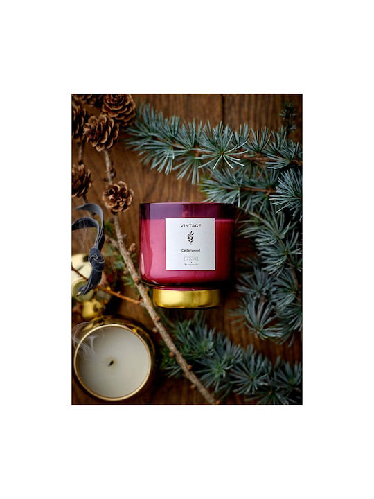 Scented Candle Burn Time 50 H Vintage Cedarwood – Illume X Bloomingville