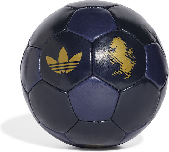 adidas Soccer Ball Blue