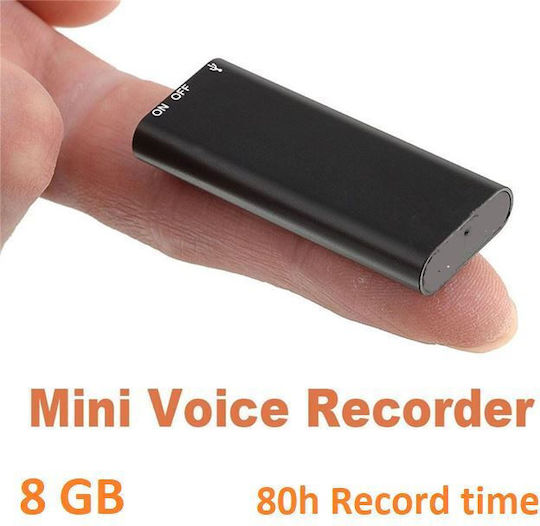 Surveillance Bug Capacity 8GB