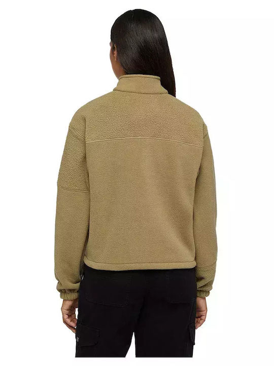 Dickies Dickies