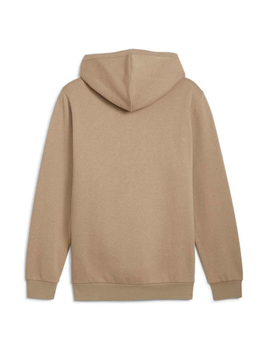 Puma Men's Sweatshirt with Hood Brown