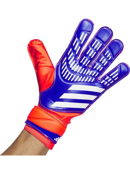 adidas Predator Training Голмански ръкавици за Възрастни Многоцветни