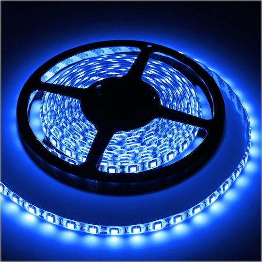 Led Strip Blue 5 M Length 12v Dc 14.4w Power Ip65 1000 Lm