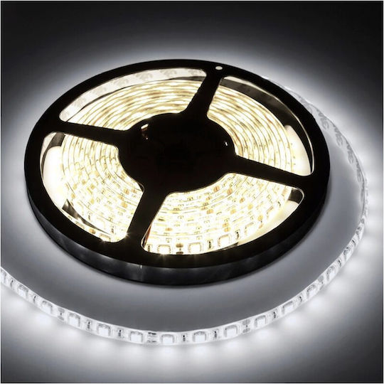 LED лента бяла дължина 5 м 12V DC мощност 27.5W IP65 3300 lm