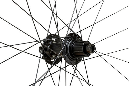 Wtb 29"