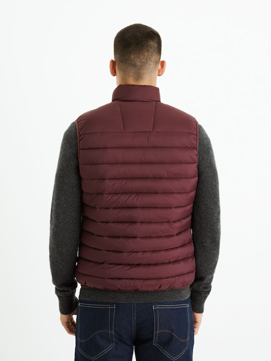 Celio Ärmellos Herren Jacke Lässig Bordeaux