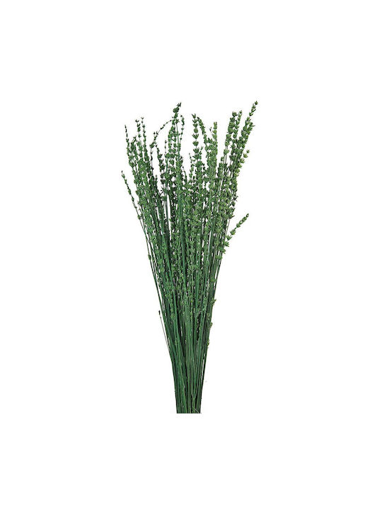 Αποξηραμένη Λεβάντα 60g 60εκ Ρτ158 Nv-500-530-158 Αποξηραμένη Λεβάντα 60g 60εκ Ρτ158 Nv-500-530-158