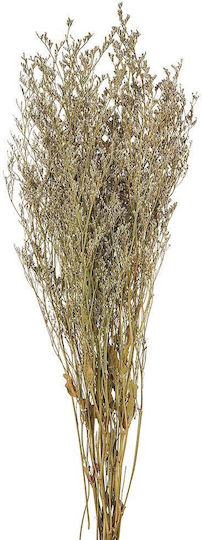 Αποξηραμένο Limonium Λευκό 70g 60εκ Ρτ160 Nv-500-530-160 Αποξηραμένο Limonium Λευκό 70g 60εκ Ρτ160 Nv-500-530-160