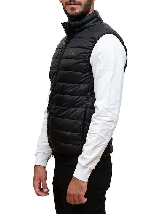 Emporio Armani Jacket Puffer Black/Gold