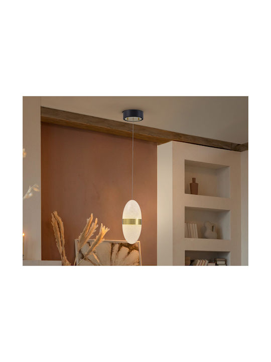 Garden Pendant Light Single-Light with Warm White Light