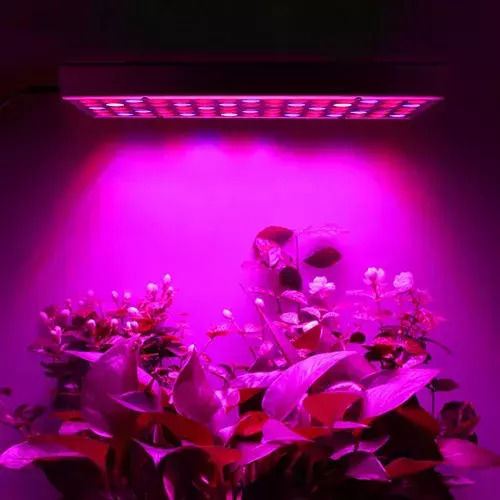 Gardlov Pendant Grow Light with LED and Power 36W L31xW31xH3.5cm.
