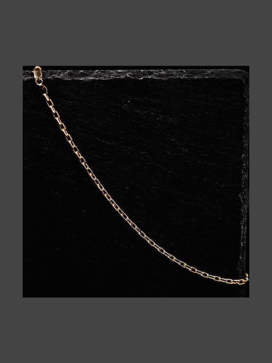 Themelidis Jewels Ανδρική Ασημένια Αλυσίδα Λαιμού Επιχρυσωμένη Λεπτή Πάχους 4.1mm και Μήκους 45cm