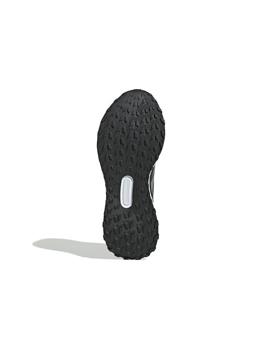 Runfalcon 5 Sport Shoes Running Black