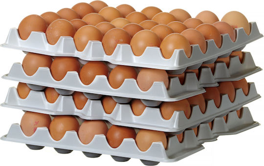 Egg Tray Ovobox Container 120 Set 4 Pieces