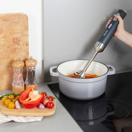 Petra Blender De Mână Cu Tijă Din Inox Gri