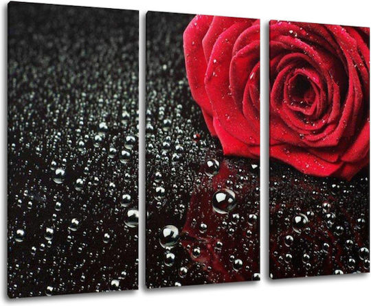 I-gallery Τρίπτυχος Πίνακας σε Καμβά 70x70cm